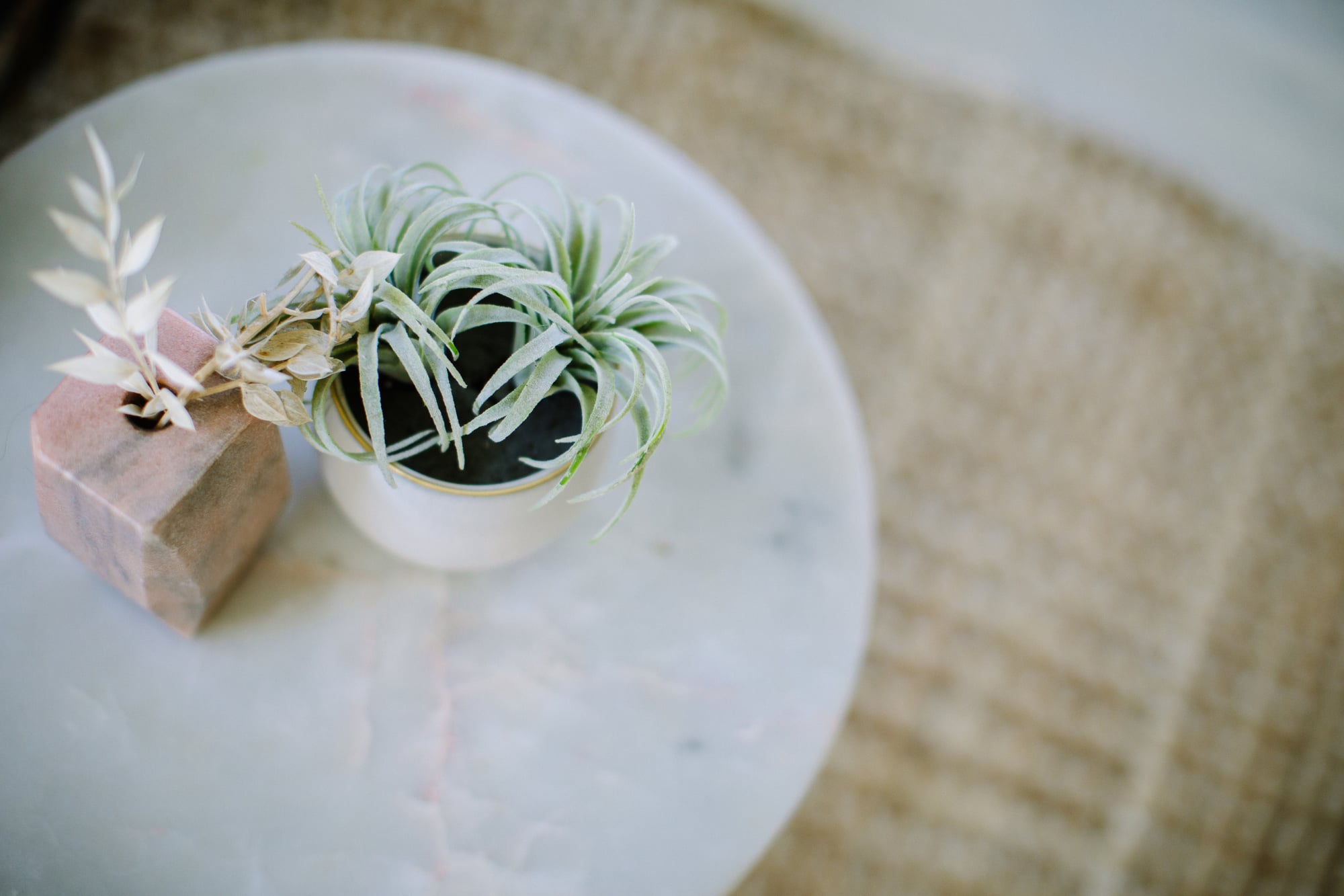 An air plant in a white ceramic pot beside dried botanicals in a small wooden vase, on a marble side table over a jute rug, a quiet pause.